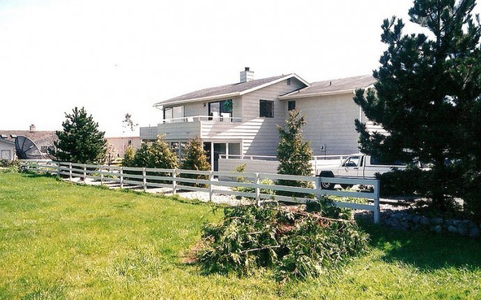 Our year-round goose field by the marina