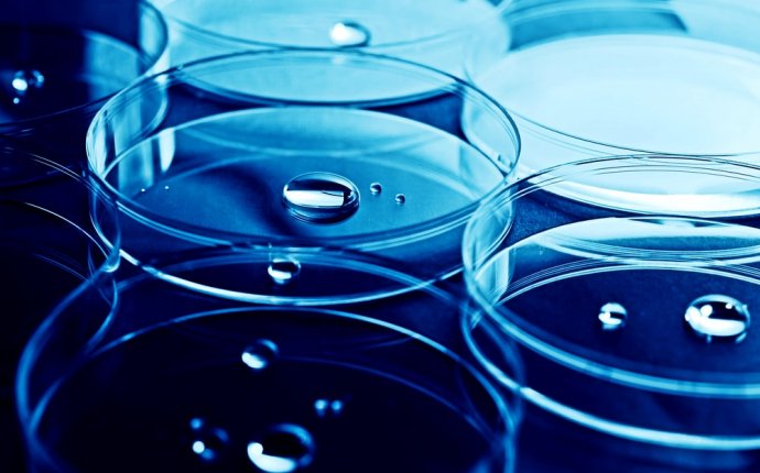 Banco De Investimentos Em Biotecnologia