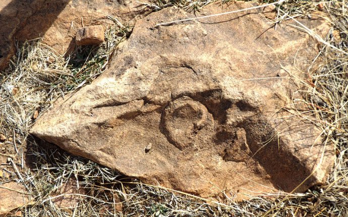 Terminologia Bancária De Investimento